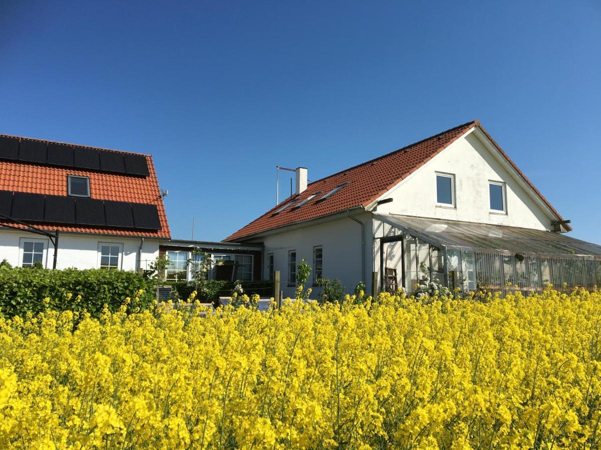 Bed and Breakfast Margretelyst Farsø Zewnętrze zdjęcie