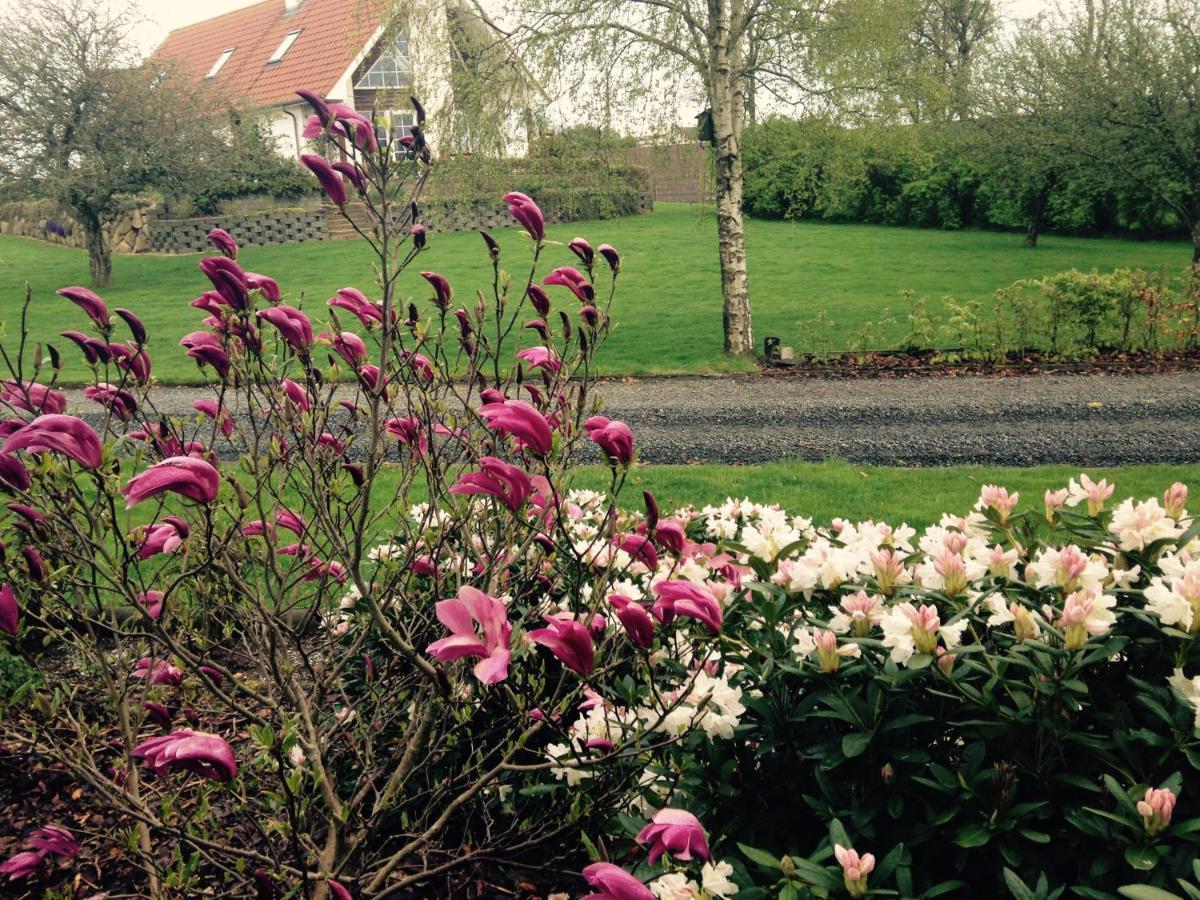Bed and Breakfast Margretelyst Farsø Zewnętrze zdjęcie